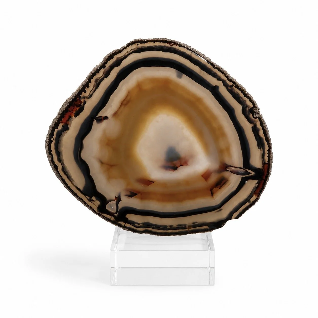 MINERALS & FOSSILS — Accessory Preview Inc.
